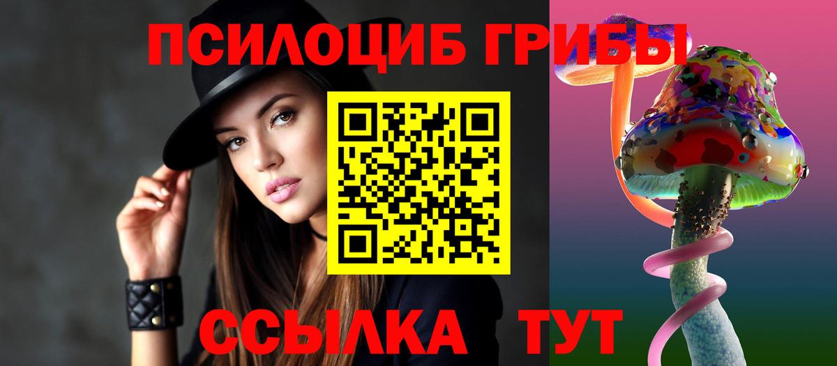 Псилоцибиновые грибы GOLDEN TEACHER Гусиноозёрск